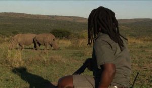 Afrique du Sud: pieds nus, sur les traces des rhinocéros