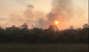 Nuage de fumée au dessus de la forêt amazonienne dans le sud-est du Pérou