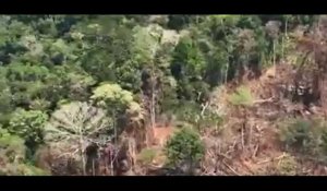 Brésil : la forêt amazonienne est ravagée par les flammes (vidéo) 