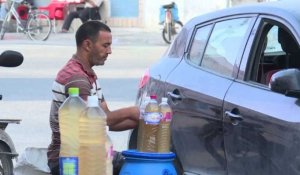 En Tunisie, les saveurs du legmi, fragile "cadeau" du palmier dattier