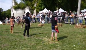 Fressin : Démonstrations d'équitation au château