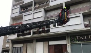 Les pompiers interviennent pour récupérer un goéland coincé sur un balcon 