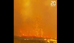 Australie: Les chiffres impressionnants des incendies