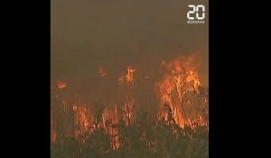 Australie: Un pompier meurt en combattant les incendies