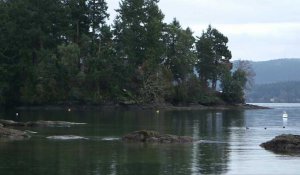 Canada: Harry a rejoint Meghan sur l'île de Vancouver