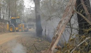 Incendies: opérations de nettoyage dans le Sud-Est australien