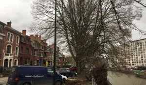 Un arbre est tombé avenue de Tabora, à Namur. Il obstrue le halage de Sambre.