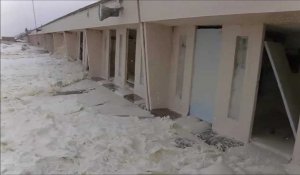Montreuillois : la tempête Ciara cause des dégâts