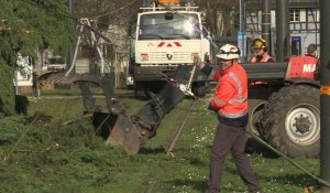 Tempête Ciara: à Strasbourg, des agents dégagent des arbres tombés sur des voies de tram