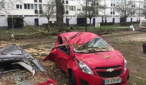 Tempête Ciara : un arbre écrase deux voitures