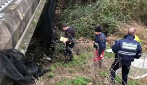 La police tente de capturer deux boucs sur le viaduc de Saint-Quentin