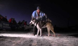 Plateau de Beille : Pyrénées Race, une course européenne de chiens de traîneau