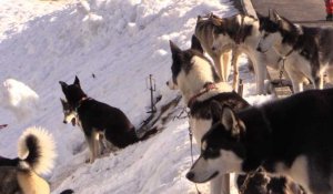 Plateau de Beille: le beau temps compromet le mushing