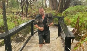 Un zoo australien inondé après les fortes pluies