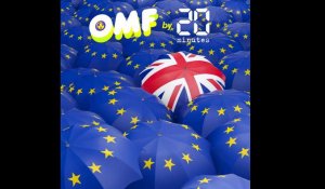 «OMF - Oh my fake» : Brexit, la foire à l'intox