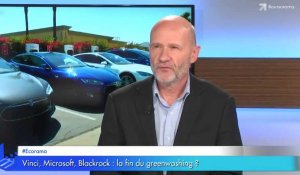 Vinci,Microsoft,BlackRock : la fin du greenwashing ?