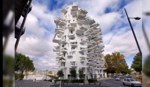 L'Arbre Blanc élu plus bel immeuble au monde par ArchDaily