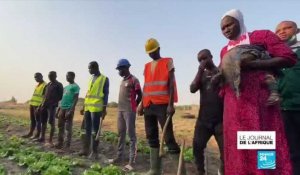 Agriculture au Togo : des fermes-écoles pour apprendre le métier sans pesticide