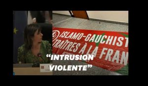 Des militants de l'Action française font irruption en plein Conseil régional d'Occitanie