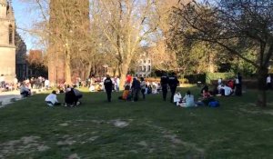 Lille: les jardins de la Treille évacués par la police