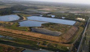 Floride : la baie de Tampa menacée par un désastre écologique