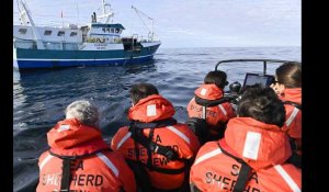 Golfe de Gascogne, embarqué avec Sea Shepherd pour l'opération Dolphin Bycatch