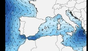Surf. La houle en Méditerranée : de Perpignan à Fréjus, les hauteurs de vagues cette semaine