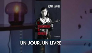 Un jour un livre : Le Stradivarius de Goebbels de Yann Iacono