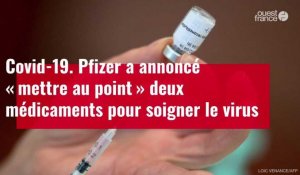 VIDÉO. Covid-19 : Pfizer a annoncé « mettre au point » deux médicaments pour soigner le virus