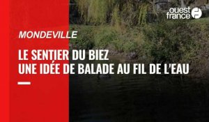 VIDEO. Près de Caen : le sentier du Biez, une idée de balade au fil de l'eau