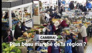 Cambrai : plus beau marché de la région ?