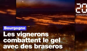 Bourgogne : Les vignerons de Chablis combattent le gel avec des braseros 