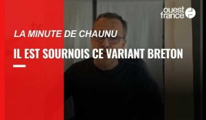 VIDEO. La Minute de Chaunu. Il est sournois le variant breton
