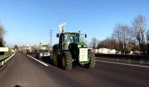 Les agriculteurs de la Marne manifestent à Reims
