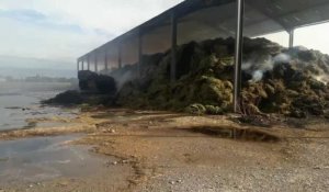 Chens-sur-Léman : un spectaculaire incendie ravage un hangar