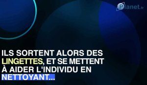 Loire-Atlantique : l'arnaque de vol par ruse "à la fiente"