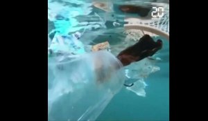 Environnement: La pollution plastique des océans devrait tripler d'ici 2040 