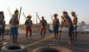 Virus, déforestation: des indigènes bloquent une route au Brésil