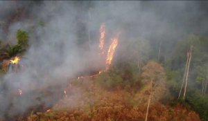 Le Brésil frappé lui aussi par des feux de forêt