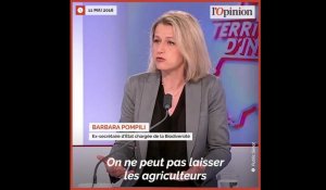 Néonicotinoïdes: le boomerang politique qui revient à la figure de Barbara Pompili