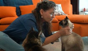 Journée internationale du chat: Briganne Carter, comportementaliste félin