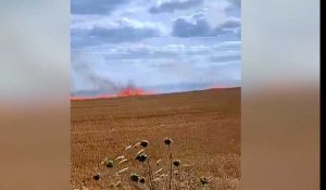 Guiscard. Plusieurs hectares partent en fumée dans un incendie