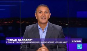 "Steak barbare" : l’enquête de Gilles Luneau sur l’agriculture "cellulaire"
