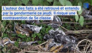 Hainaut : l’auteur des dépôts d’invendus alimentaires en forêt de Mormal a été identifié