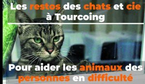 Les chats et cie à Tourcoing, pour aider les animaux des personnes en difficulté 