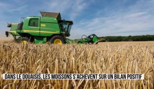 Douaisis : bilan positif pour les moissons