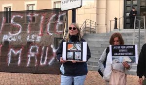 Violences sur un phoque: les défenseurs des animaux déploient une banderole devant le tribunal de Dunkerque