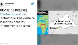 Centrafrique : Une « dizaine de morts » dans les affrontements de Birao