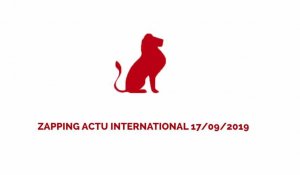 ZAPPING ACTU INTERNATIONAL DU 17/09/2019 - LE JOURNAL DU CAMEROUN 