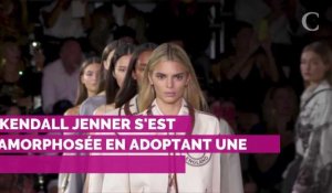 Laeticia Hallyday de retour en France, Céline Dion "amoureuse" : toute l'actu du mardi 17 septembre